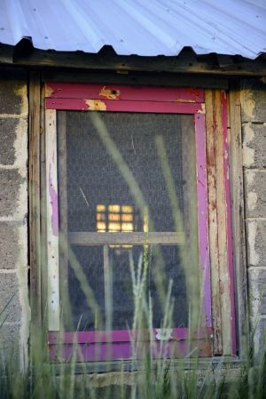 Old Chickencoop windows (4).jpg